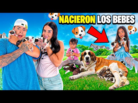 Our DOG'S BABIES were born and this is how my daughters REACT🐶😱