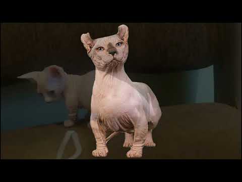 Двельф девочка Дельта