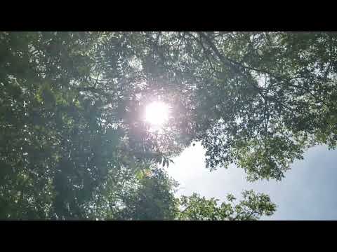 John Abercrombie Quartet, Bimhuis (2008)