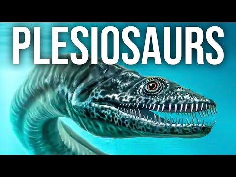 Plesiosaurs | The Scariest Seamonster That Ever Existed