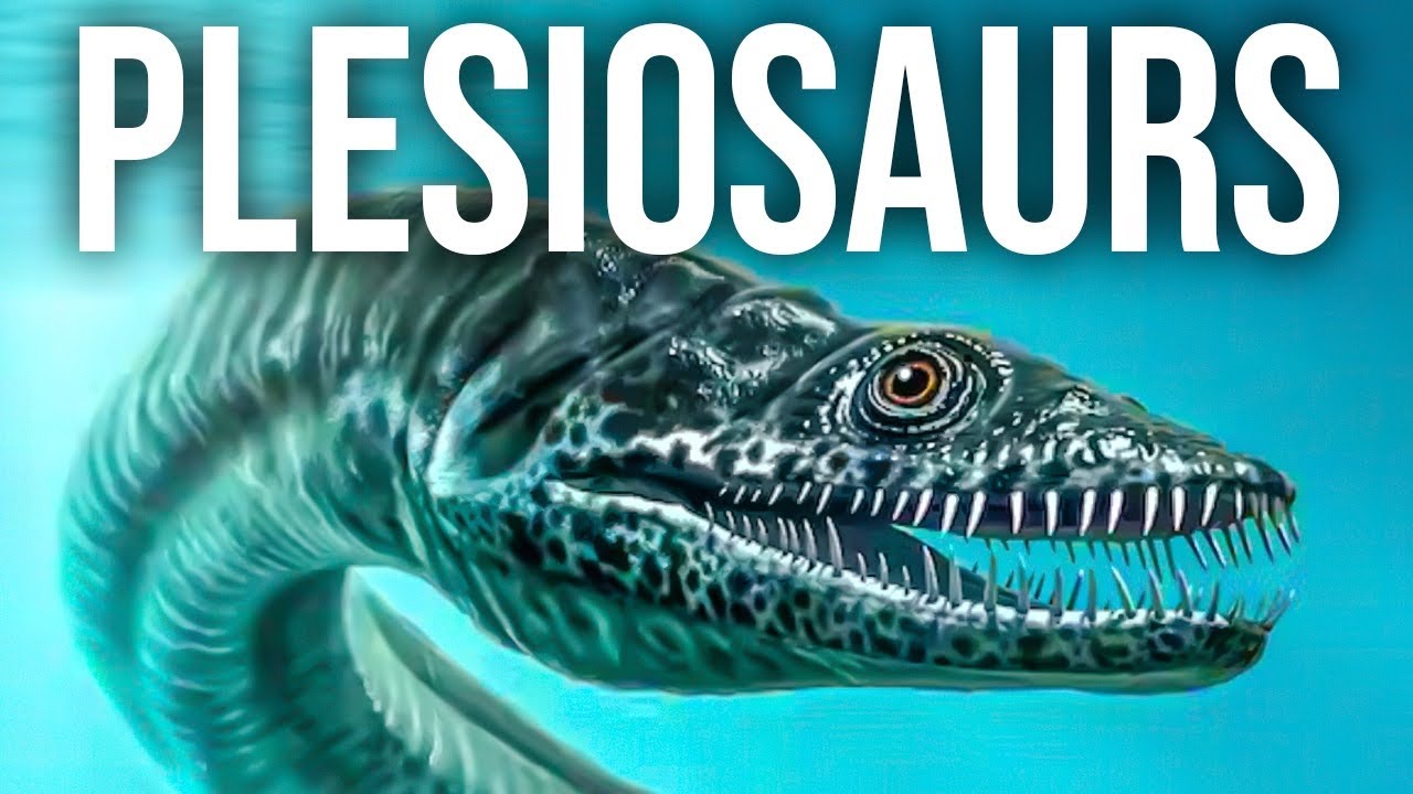 Plesiosaurs | The Scariest Seamonster That Ever Existed