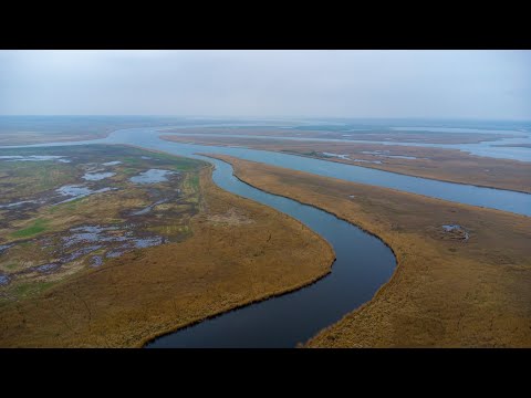 Zalew Szczeciński, Świna i Dziwna z lotu ptaka
