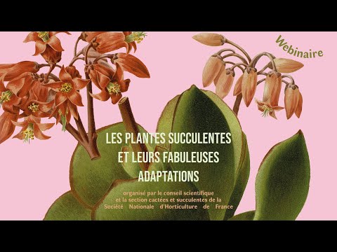 , title : 'Les plantes succulentes... La conservation des plantes succulentes par Diane Ortolani'