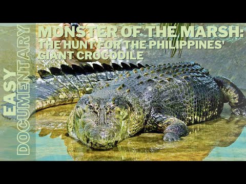 Monster of the Marsh: The Hunt for the Philippines' Giant Crocodile - Wild Animals Documentary