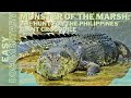 Monster Of The Marsh The Hunt For The Philippines Giant Crocodile Wild Animals Documentary