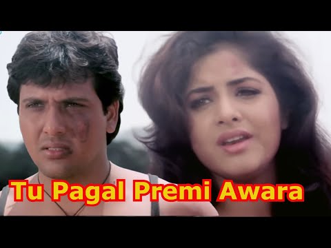 Tu Pagal Premi Aawara | Divya Bharti Song 4K | Shola Aur Shabnam | Govinda | Bollywood 4K Video Song
