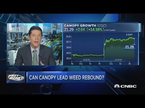 Pot stock Canopy Growth lights up on new CEO appointment