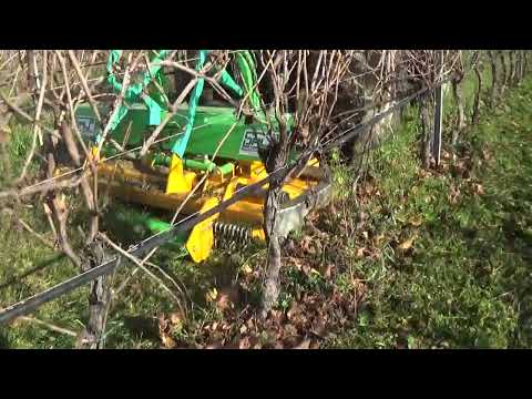 TAGLIAERBA RAS4 A TAGLIO VARIABILE