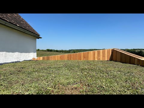Professional Sedum Living Roof Installation by Walden Handyman