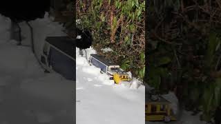 ❄️ Schneeräumen für die Katz 😺 #gartenbahn #gardenrailway #cat