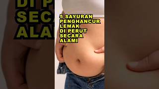 Download lagu 5 Sayuran Penghancur Lemak di Perut Secara Alami #ekoazis mp3