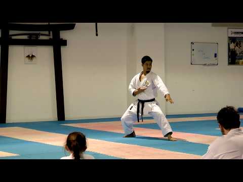 Kata Gankaku by Sensei Koji Arimoto, invited by JKS Ireland, performed at Kaizen Dojo Dublin