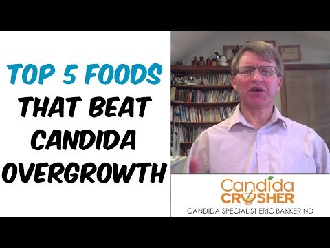 download lagu mp3 mp4 Mustard Candida Diet, download lagu Mustard Candida Diet gratis, unduh video klip Mustard Candida Diet