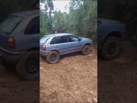 sopa do pinhão 2023