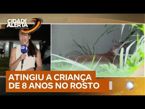 Pai de menina atacada por onça em GO relata ataque: ‘Foi tudo muito rápido’ | Cidade Alerta DF