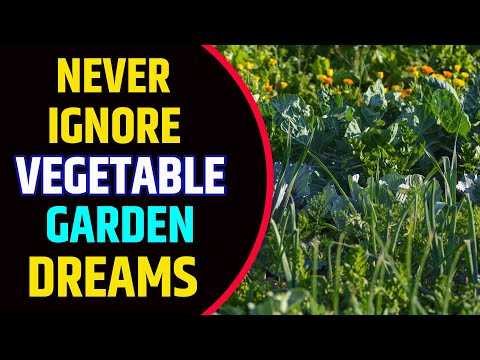 Seeing Vegetable Garden in Dream Meaning | Vegetable Garden Dream Interpretation