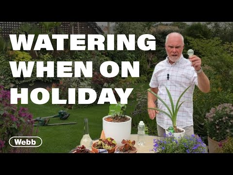 How to Water Plants When on Holiday - Gardening Advice from Adam Woolcott
