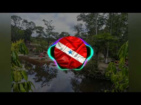 SEM DESTINO - BANDA MSYNCK (Balneário Caeté/Capanema)