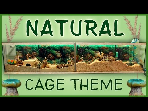 rainforest hamster cage