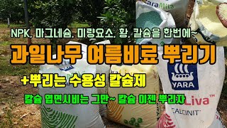과일나무 여름비료의 중요성 뿌리기만해도 흡수가 잘되는 수용성칼슘과 복합비료(미량요소포함)를 주었습니다. 야라…