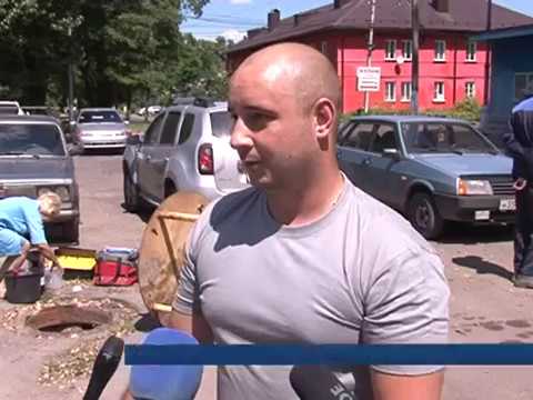В Курске ищут виновника мора рыбы в реке Сейм