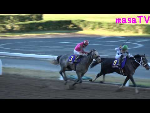 【４Ｋ現地撮影】第１９回ＪＢＣクラシック オメガパフューム＆ミルコ・デムーロ騎手惜しい２着！