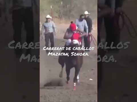 Carrera de caballos Mazatan, Sonora