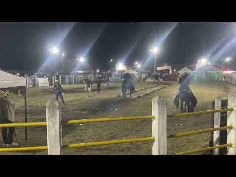 Exposición equina Susa Cundinamarca 2026