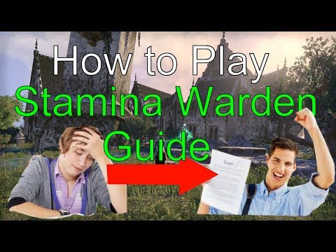 How to Play Stamina Warden in PvP (Support Build) [In-Depth Guide]