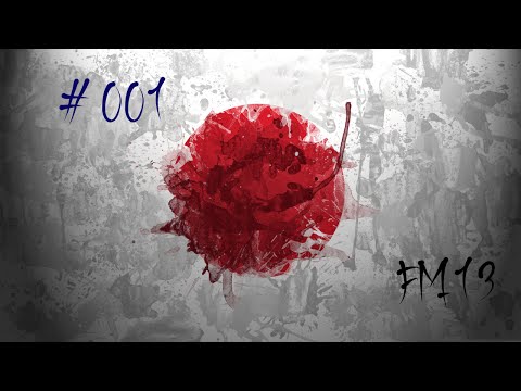 FM13 Lets Play #001  Willkommen im Land der aufgehenden Sonne