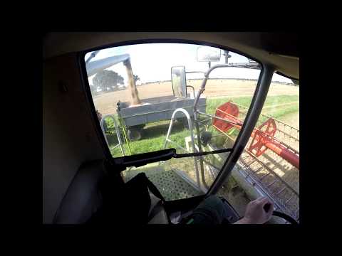 Let's Drive: Cabview Claas Lexion 440 im Weizen