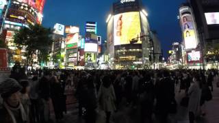 Notorious Shibuya Crossing