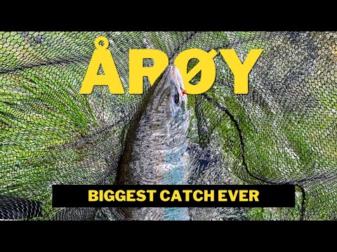 Årøy: Magnificent Norwegian River With MONSTER Salmon Caught on Fly
