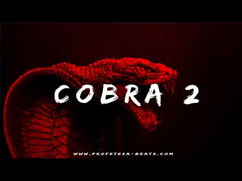 Aggressive Fast Flow Trap Rap Beat Instrumental ''COBRA 2'' Hard Angry Arab Type Drill Dark Trap
