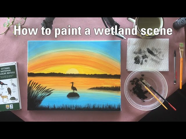 Video Aussprache von wetland in Englisch