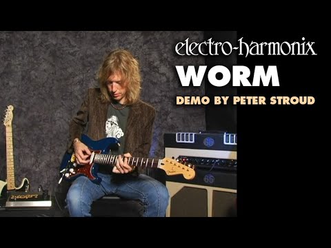 Electro-Harmonix Worm Analog Wah / Phaser / Vibrato / Tremolo Pedal (Demo by Peter Stroud)