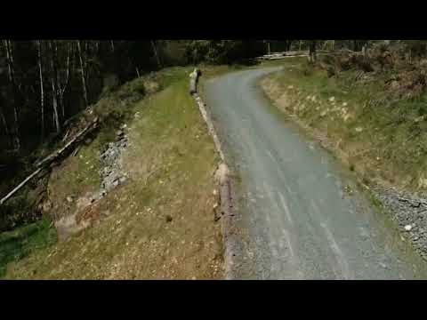 Top Bridge Park by Mavic Mini