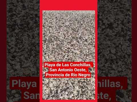 Playa de Las Conchillas, San Antonio Oeste, Río Negro.#patagonia #viajar #argentina