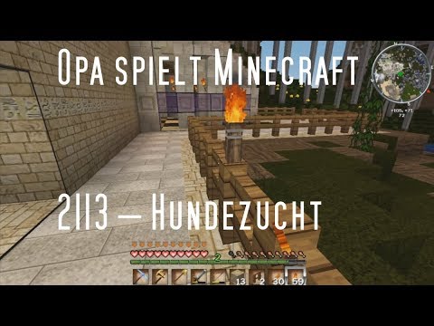 Opa spielt Minecraft 2113 – Hundezucht