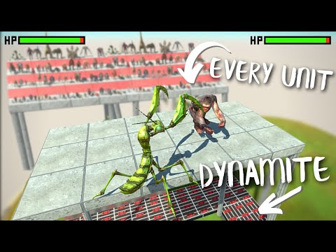 1 vs 1 Tournament on Dynamite Arena With HP Bar - Animal Revolt Battle Simulator | ARBS
