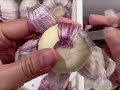 Garlic Peeling ASMR Relaxing 60 Minute Sound Therapy For Ultimate Satisfaction