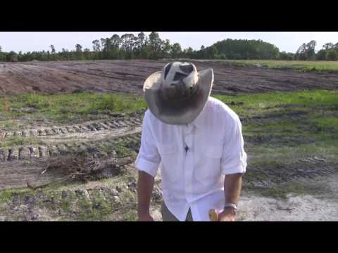 Polyculture Orchard System Part 4