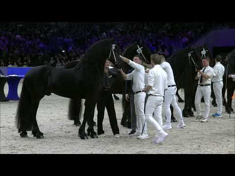 HK 2024 Winnaar Rubriek 3 | Tymen 503