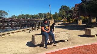 Dog Training at Huffhines Park in Richardson TX with Suburban K9!