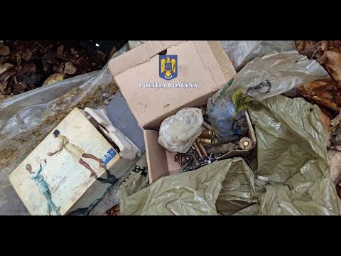 Braconaj Siriu (ursi si cerbi)