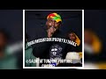 Silent Killer Dhiki Mudiki Diki Official Hit Song Prd By Dj Tarks Zimdancehall 2023 Salmeat