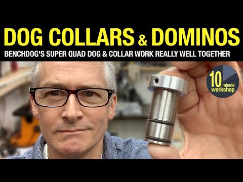 Dog Collars Dominos video 299 AD Gifted