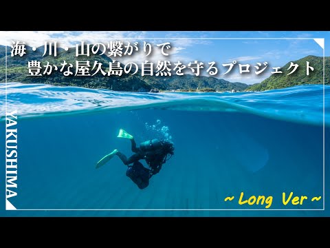 動画制作事例