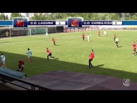 J-33 C.D. LAGUNA 0-2 C.D. CARBAJOSA (RESUMEN)