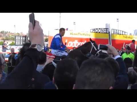 Winx | Cox Plate 2017